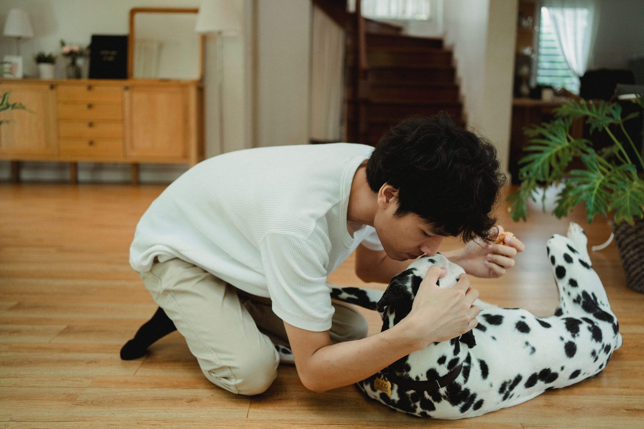 The 14 Tiny Habits That Reveal a Dog Adores Its Person