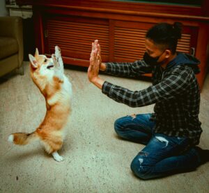 15 Tender Habits a Dog Reserves for Its One Favorite Human