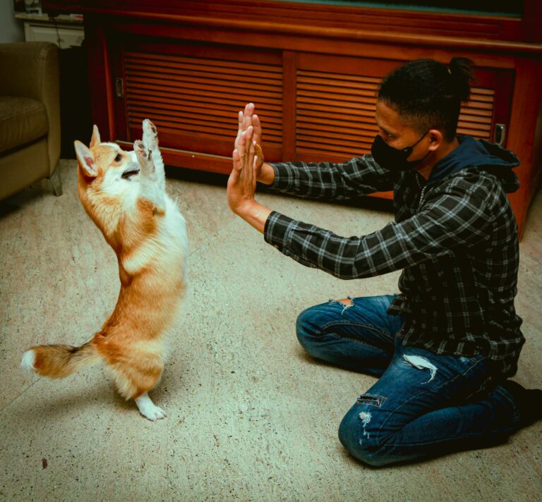 15 Tender Habits a Dog Reserves for Its One Favorite Human
