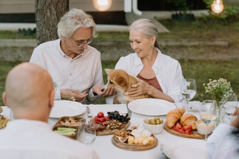 14 Tender Things Old Dogs Do in Their Final Season With You