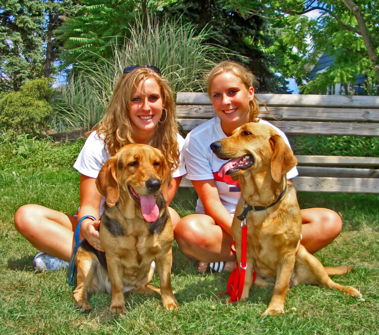 14 Quiet Gestures a Rescue Dog Makes Once It Finally Trusts You