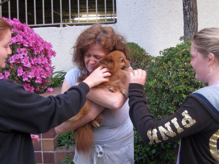 7 Signs Your Dog Thinks You're Family