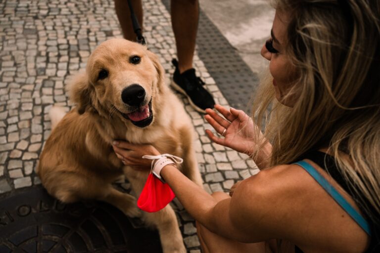 25 Slightly Crazy Things Golden Retriever Owners Do That They Would Never Admit