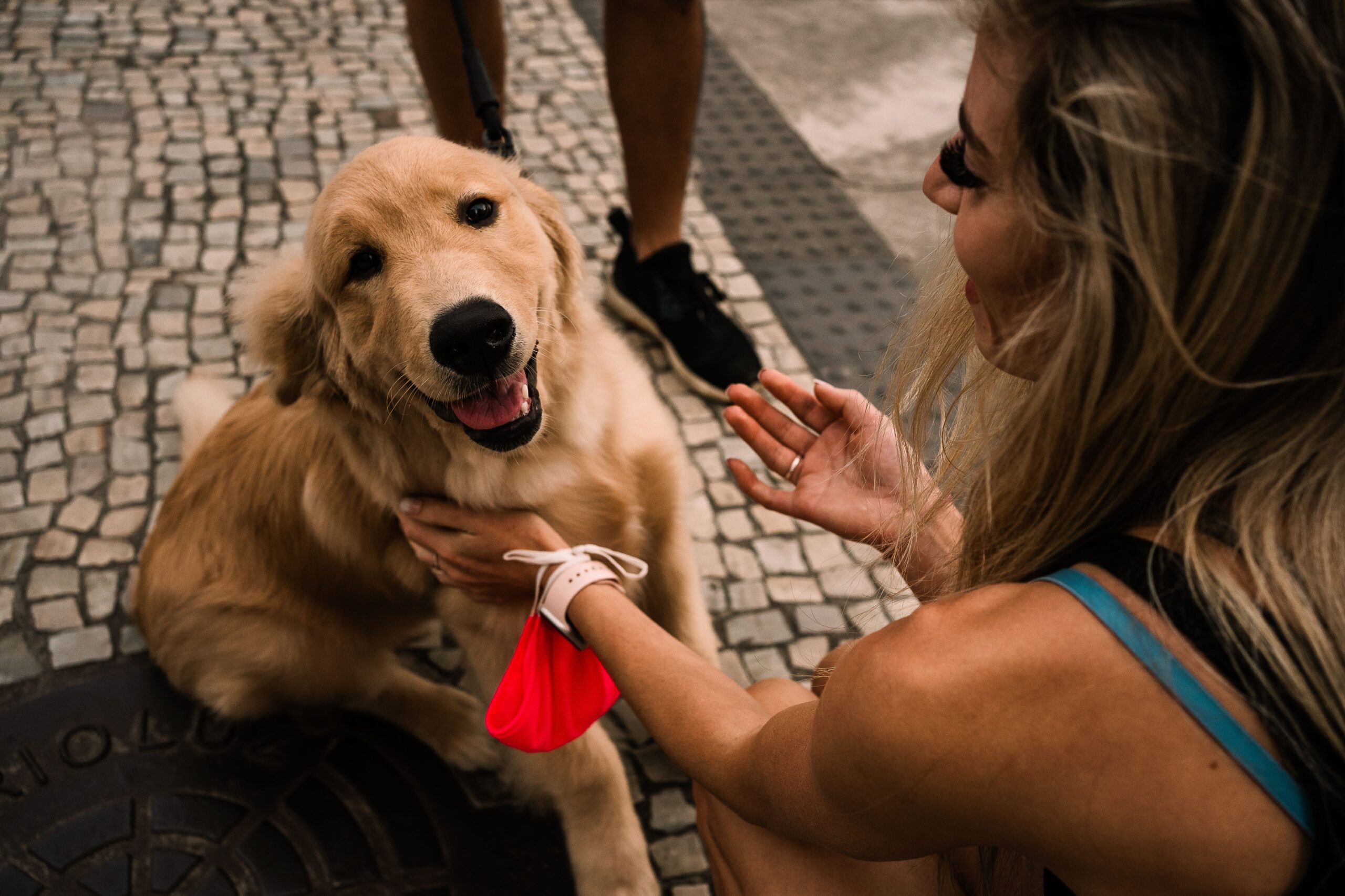 25 Slightly Crazy Things Golden Retriever Owners Do That They Would Never Admit
