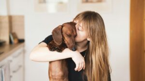 23 Ridiculous Things Only Dachshund Owners Will Ever Understand