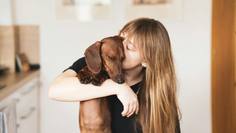 23 Ridiculous Things Only Dachshund Owners Will Ever Understand