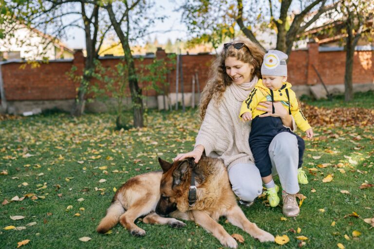 27 Things German Shepherd Owners Do That Would Baffle Everyone Else