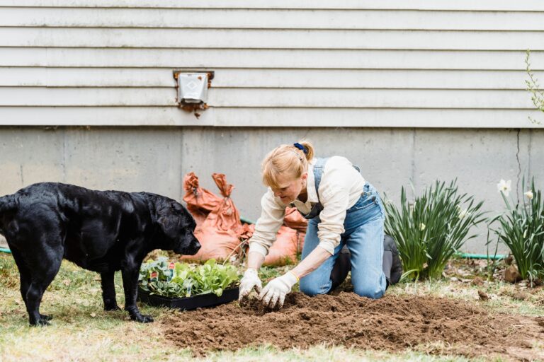 25 Things Labrador Owners Do That Prove the Dog Actually Runs the House