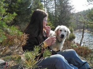 Every Golden Retriever Owner Eventually Notices These 13 Quiet Things