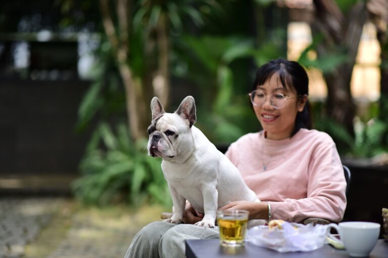 14 Secret Signs Your French Bulldog Has Chosen You as Its Whole World
