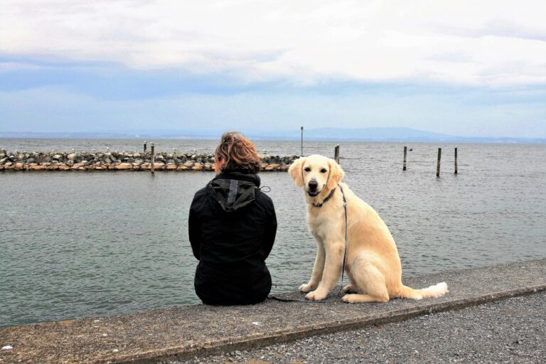 The Dog Breed That Matches How Your Zodiac Sign Handles Being Alone