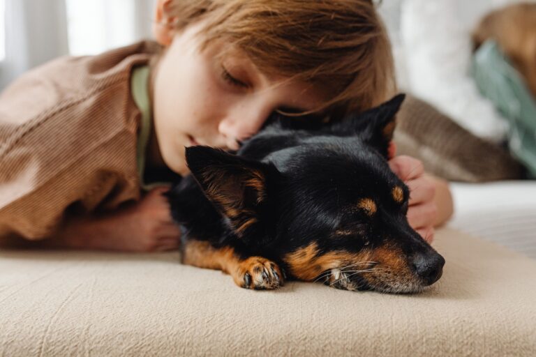 9 Behaviors Your Dog Performs Specifically for You That They Perform for Nobody Else in the World