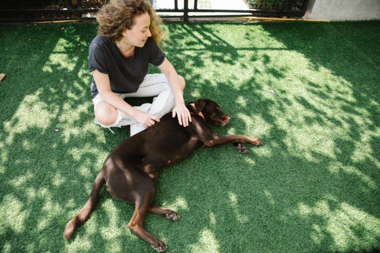 Which Zodiac Signs Have Dogs That Are Basically Just Their Emotional Support Animal With Better Hair