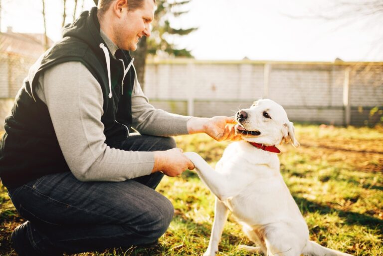 Dog Psychology Says That When Your Dog Sniffs You Intently Upon Your Return Home They Are Not Simply Greeting You - They Are Reading a Detailed Chemical Record of Where You Have Been and How You Are Feeling