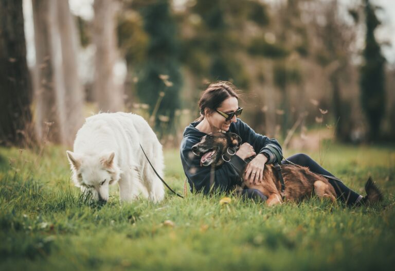 10 Things Experienced Dog Owners Do Differently That Make Their Dogs Live Measurably Longer