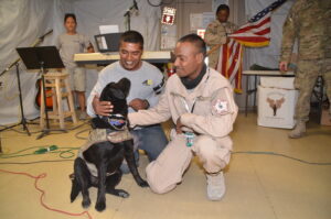 10 Effective and Compassionate Tips to Help Your Shelter Dog Adjust to a New Home