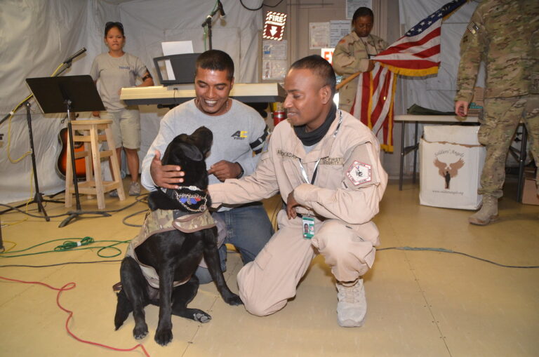 10 Effective and Compassionate Tips to Help Your Shelter Dog Adjust to a New Home