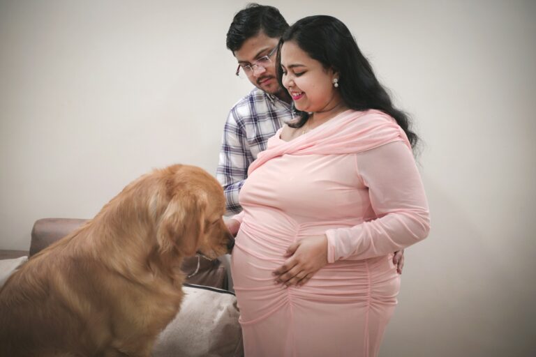 Scientists Have Found That Some Dogs Respond to the Hormonal Changes in a Woman's Body During Early Pregnancy - Picking Up on Subtle Shifts in Scent That Occur in the First Weeks