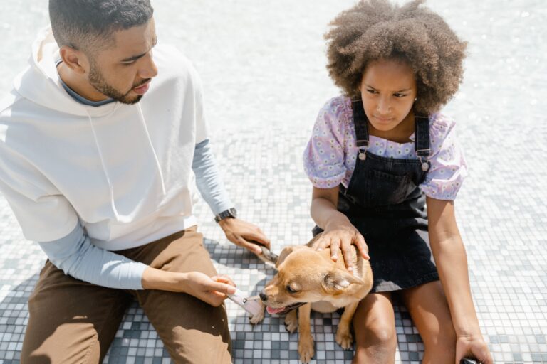10 Signs of Jealousy in Dogs That Owners Commonly Misread