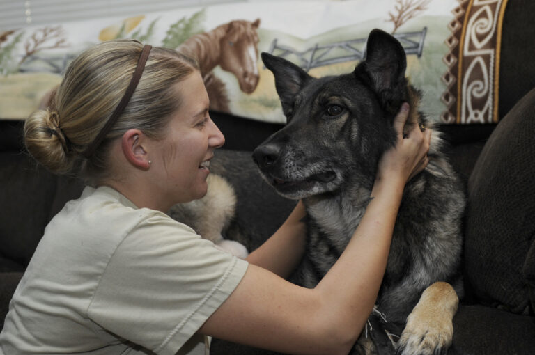 Can Dogs Really Smell Parkinson’s Years Before Symptoms? Inside the Science of Scent, Sebum and Hope
