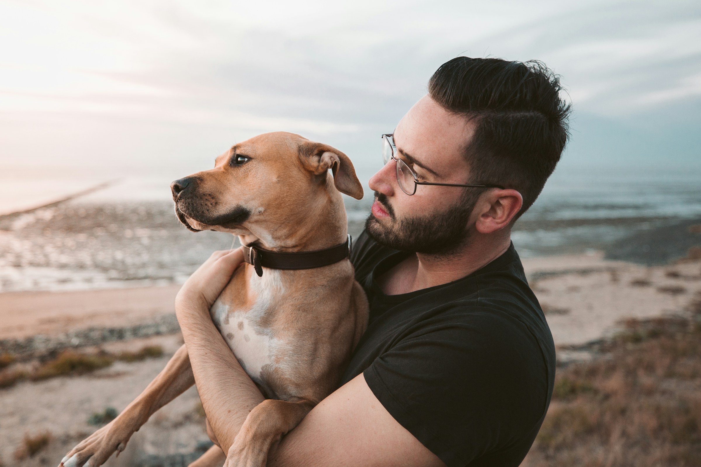 A Study in Animal Cognition Found That Dogs Exposed to the Sweat of Fearful Humans Showed Measurably Higher Stress Behaviors Themselves - Proving Emotions Travel Between Species Through Scent