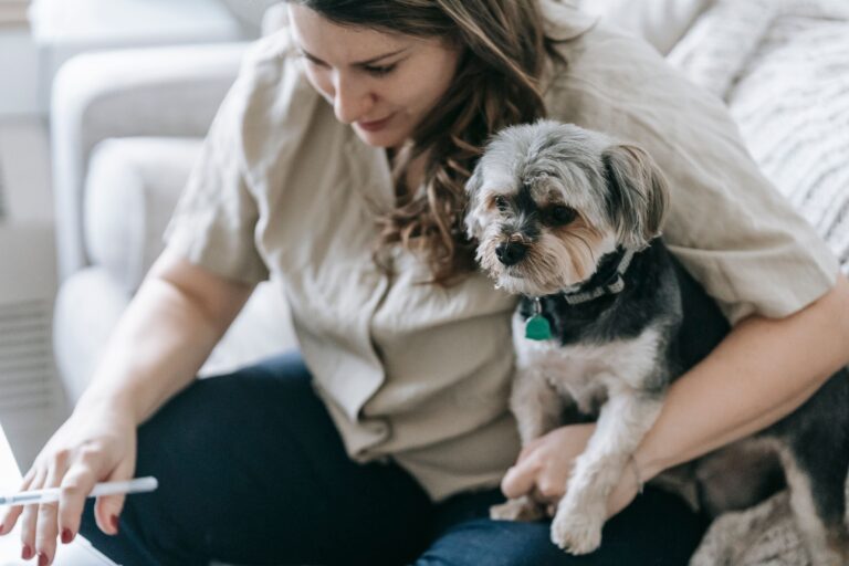 10 Financial Tips to Plan a Budget When Maintaining an Expensive Dog