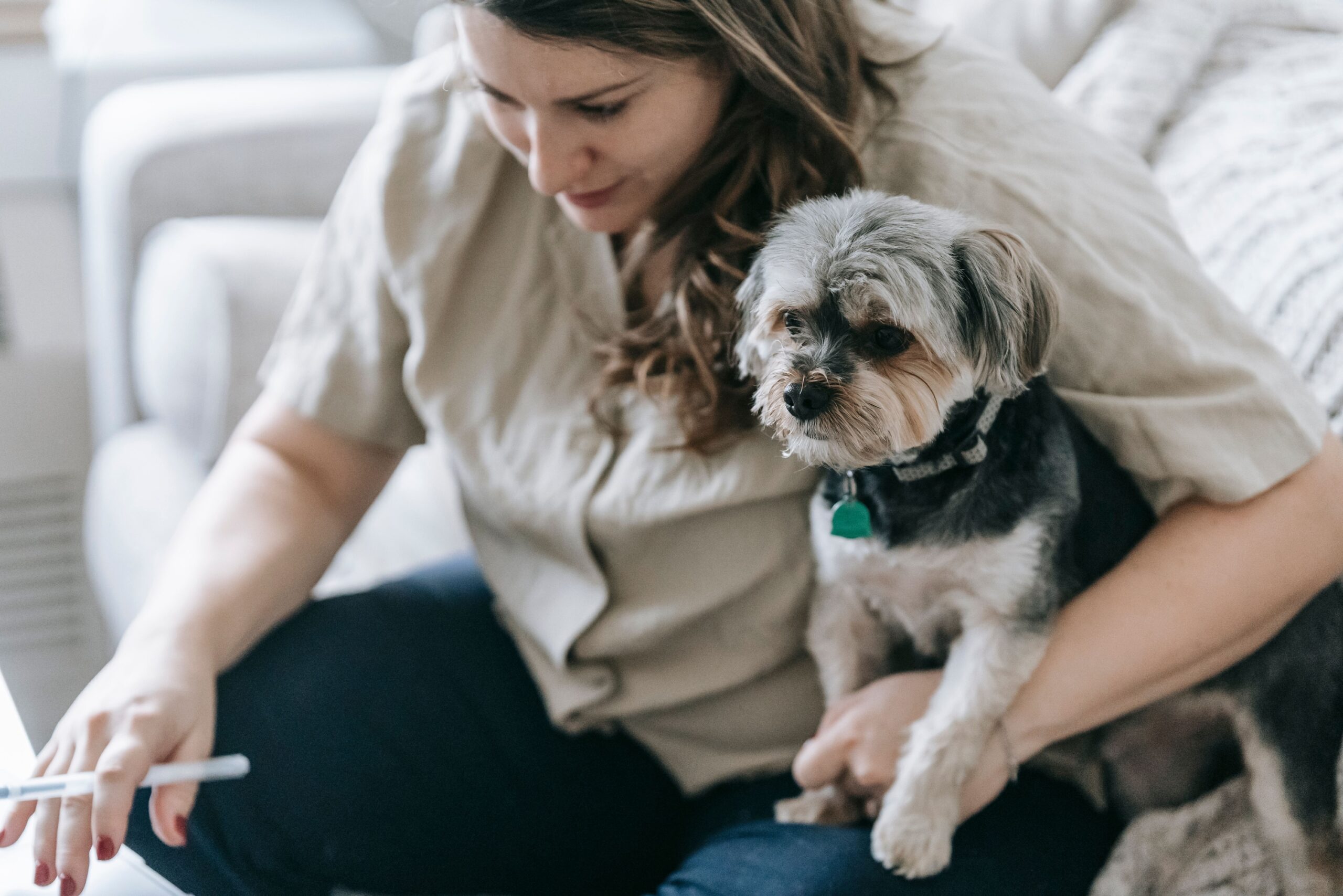 10 Financial Tips to Plan a Budget When Maintaining an Expensive Dog
