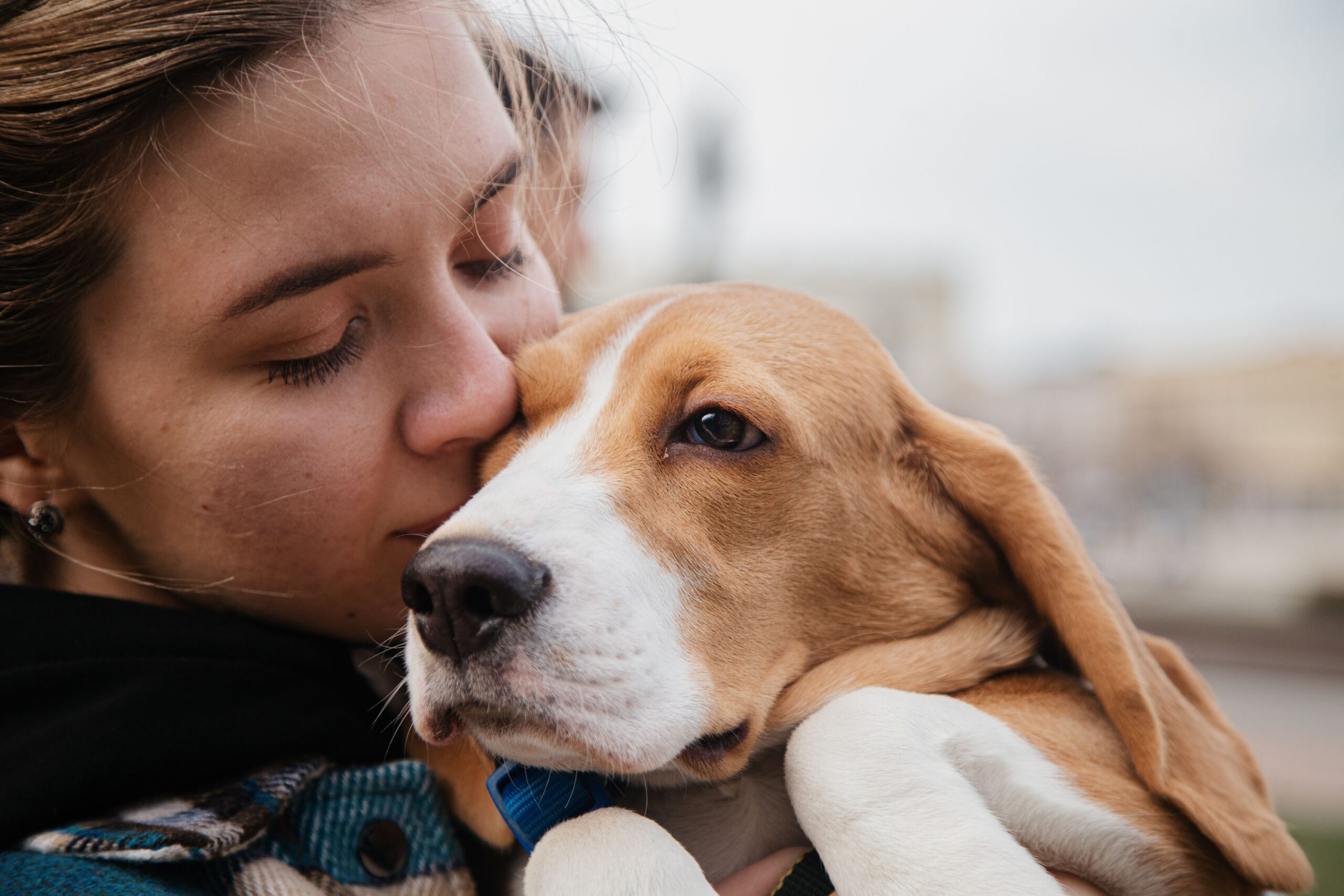 Animal Science Says Dogs Are More Likely to Approach a Person Who Was Crying Than One Who Was Humming or Talking Normally - Even When the Crying Person Was a Complete Stranger to Them
