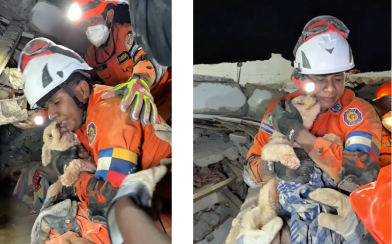 Puppy Rescued From Venezuela Rubble After Five Days