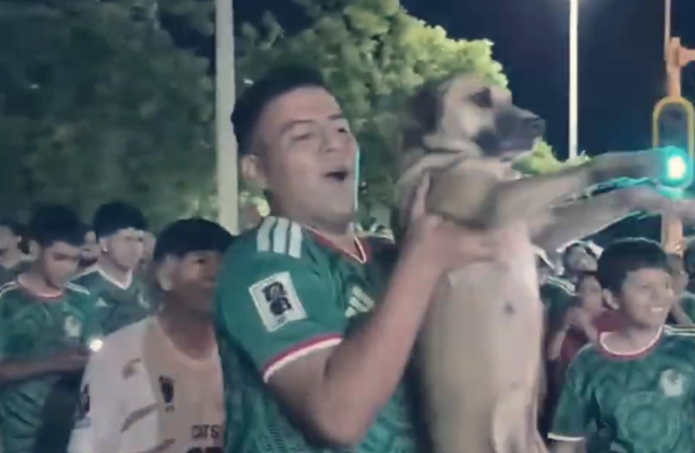 Dog Missing for a Month Turns Up Celebrating Mexico’s World Cup Win