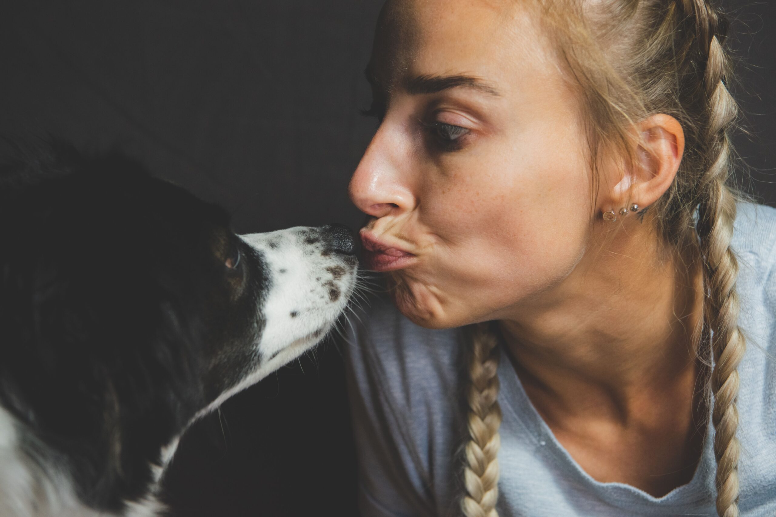 10 Signs Your Senior Dog Is Ageing Beautifully - And 5 Signs That Warrant a Vet Visit This Week