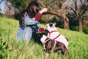 12 Dog Breeds That Are Perfectly Suited to a Quieter Life After 60 and Never Make You Feel Guilty for It