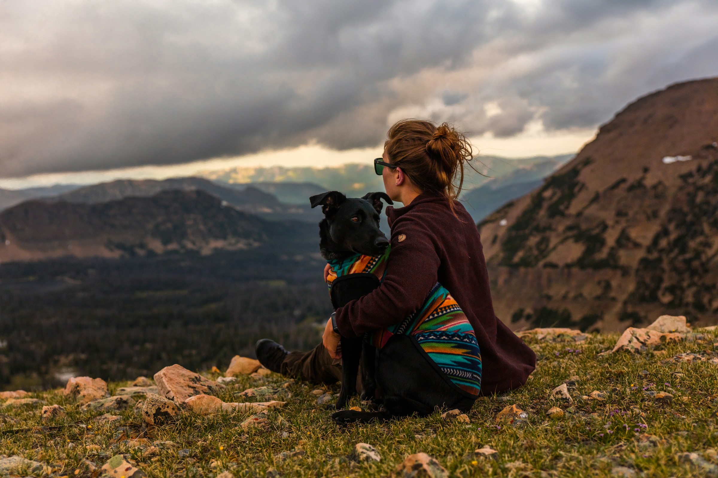 Which Zodiac Signs Need a Dog the Most for Emotional Regulation - And Probably Already Know It