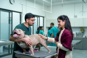 9 Things Veterinarians Notice About Dogs in Waiting Rooms