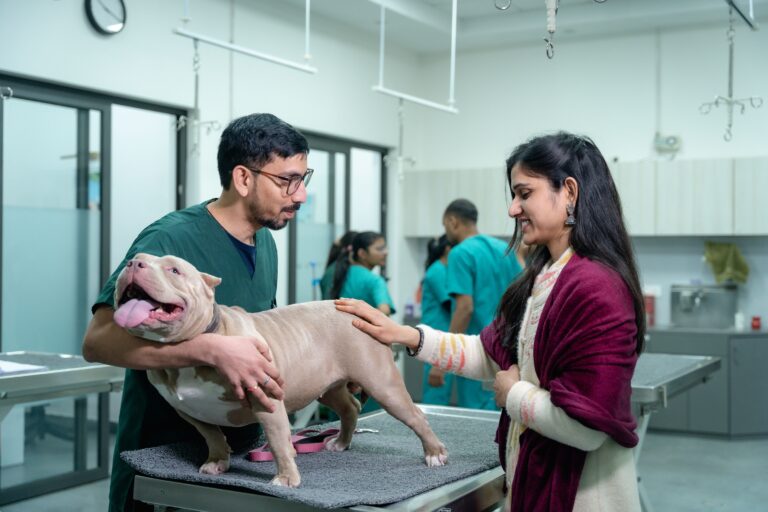 9 Things Veterinarians Notice About Dogs in Waiting Rooms