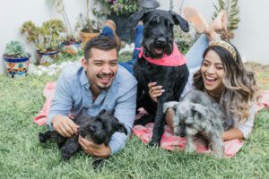 7 Things Dogs Never Forget - No Matter How Much Time Has Passed