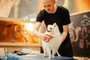 8 Calming Techniques That Actually Work for Reactive Dogs - Backed by Animal Behaviourists