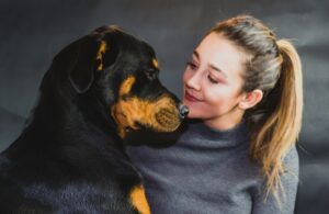 12 Dog Breeds That Cost the Most During Their Senior Years