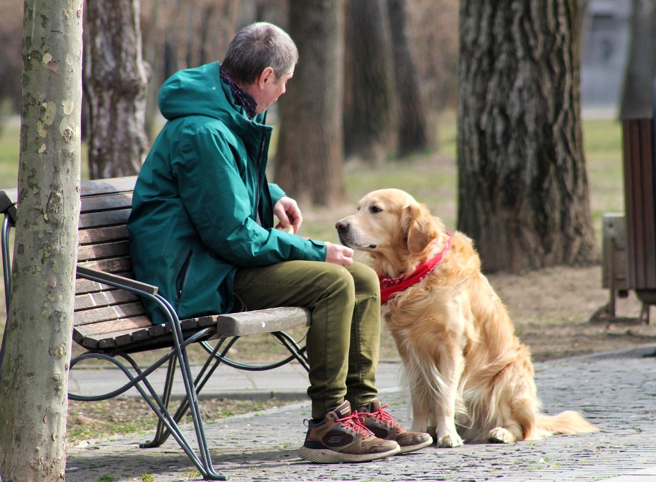 Animal Psychology Says That When One Dog Is Rewarded for a Task and Another Isn't, the Unrewarded Dog Becomes Less Cooperative