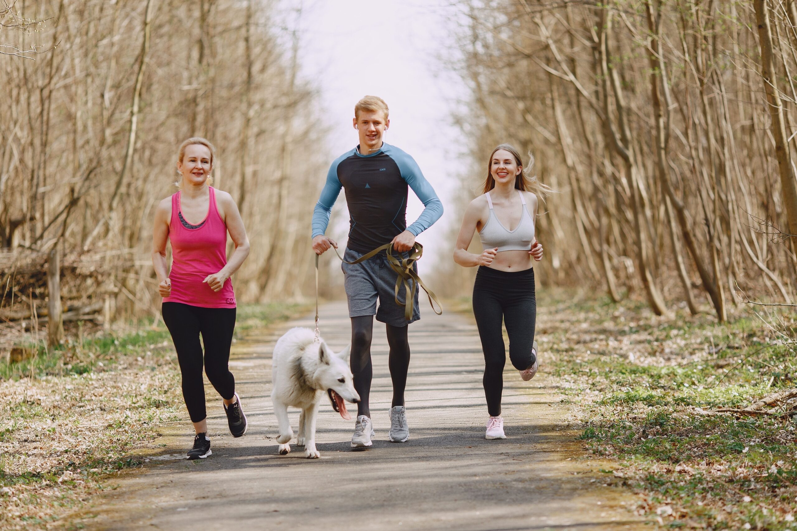 Animal Cognitive Studies Say That Dogs Can Learn a New Object's Name After a Single Exposure - What Fast Mapping Really Tells Us About Your Dog’s Mind