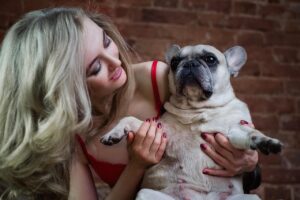 Studies Using MRI Scans Confirm That a Dog's Brain Responds to Happy Human Sounds in a Region Similar to the Human Emotional Processing Area - a Finding Researchers Did Not Expect