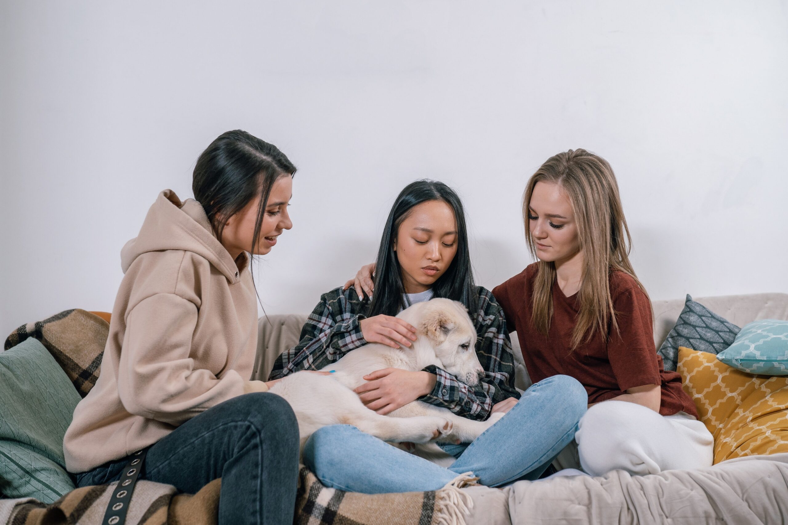7 Reasons Dogs Follow Their Owners Into the Bathroom