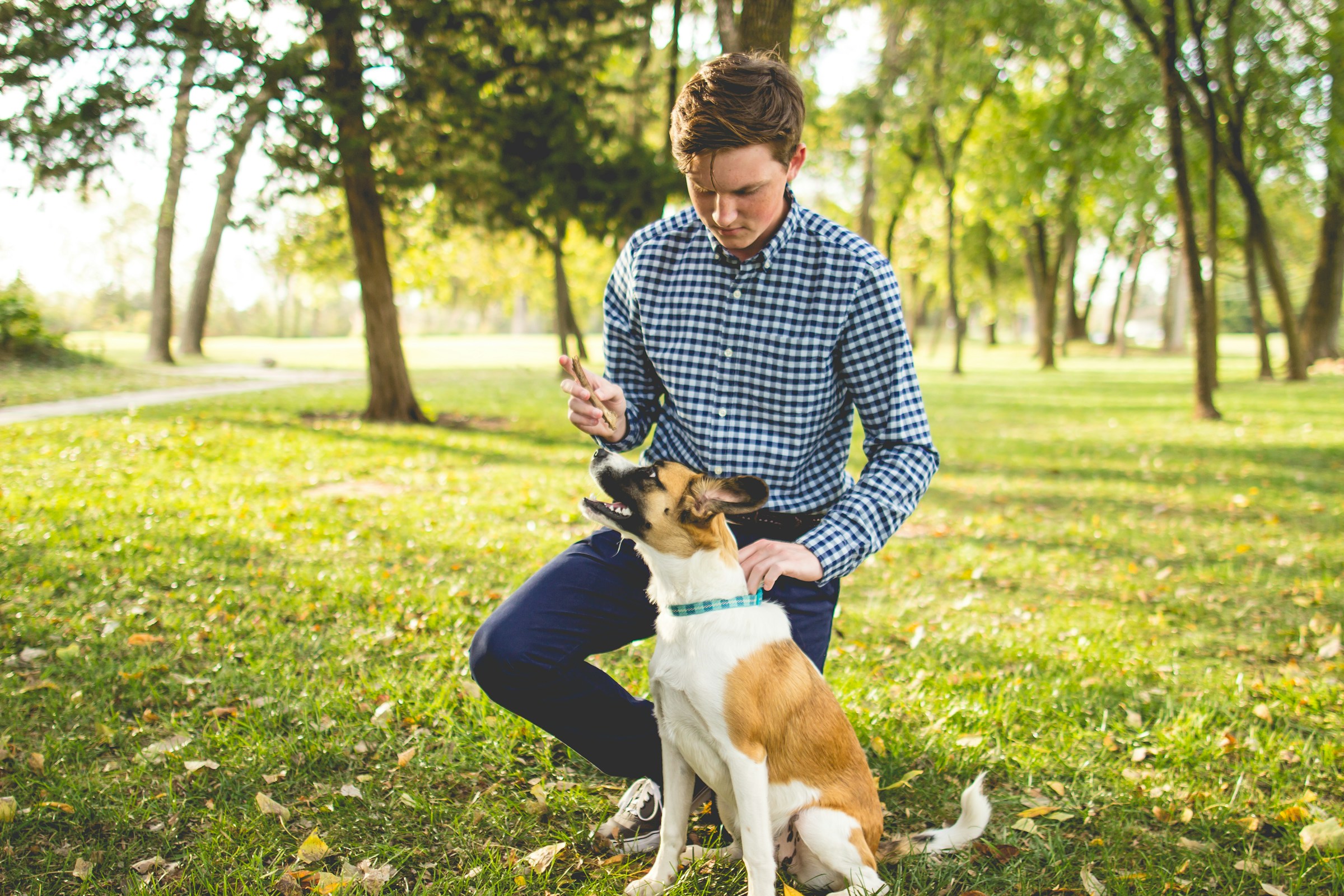 7 Signs You Are a Good Dog Parent and 3 That Need Work