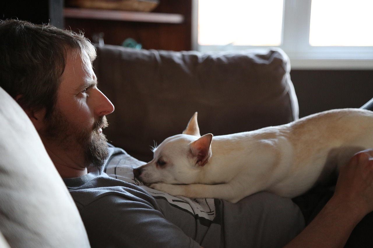 10 Dog Behaviors That Are Actually Signs of Affection