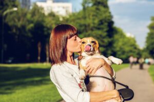Research Confirms That Dogs Show More Distress When Separated From Their Owner Than From a Stranger - What That Really Means