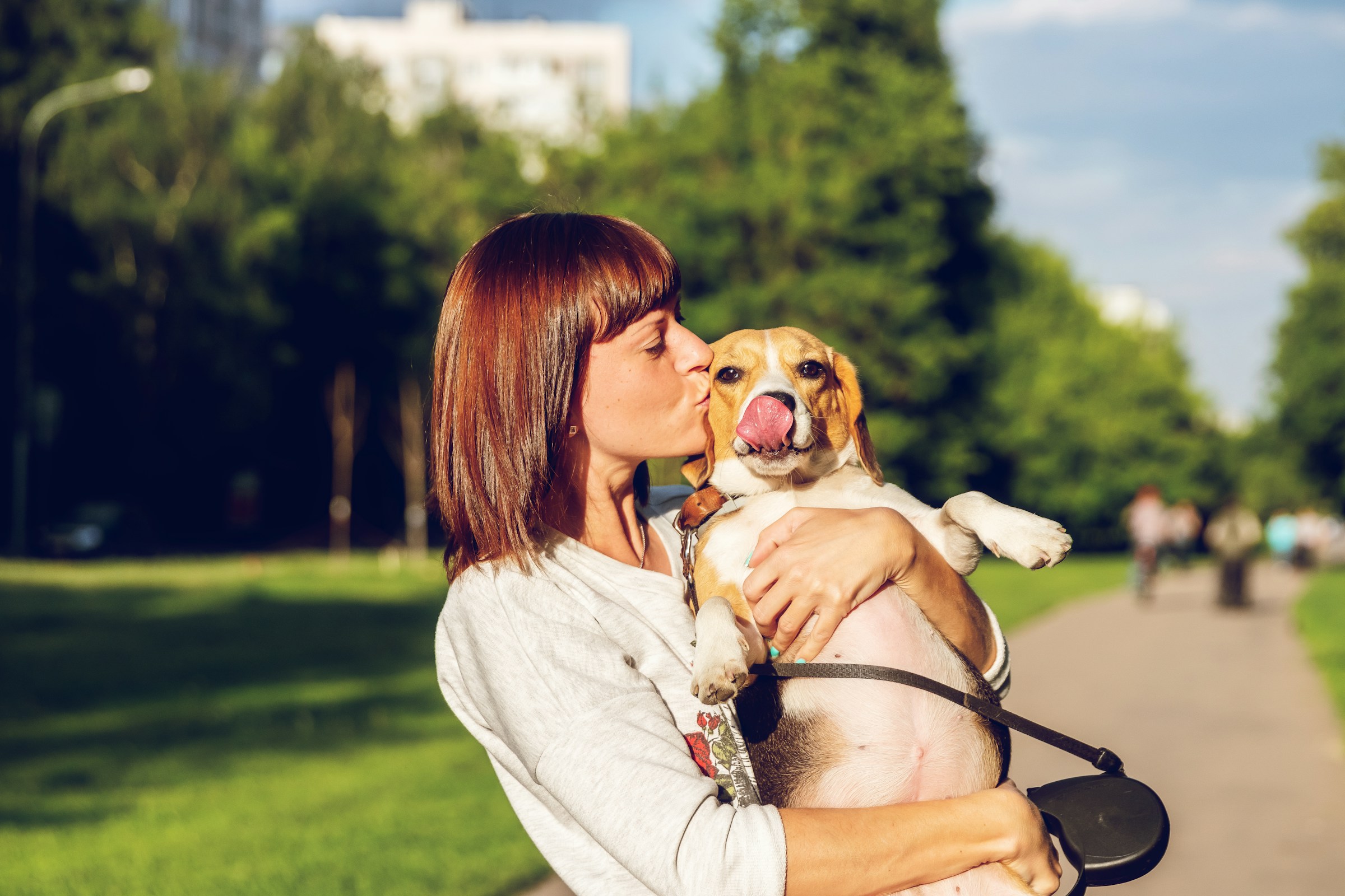 Research Confirms That Dogs Show More Distress When Separated From Their Owner Than From a Stranger - What That Really Means