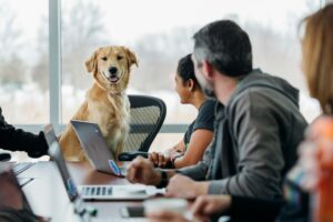 The Real Reason Your Dog Looks Back at You on Every Walk