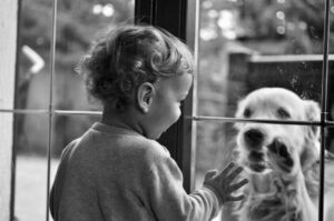 11 Things Dogs Do Differently the Moment the Grandchildren Arrive