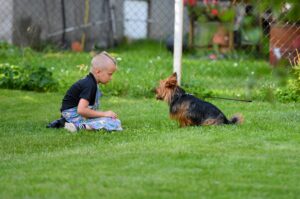 13 Rules About Children and Dogs That Have Changed Since the 1990s