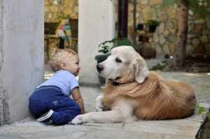 15 Things About Dogs and Babies That Have Changed Since You Raised Yours